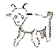 That this is not a sheep. This is a ram. It has horns.