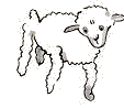 This one is too old. I want a sheep that will live a long time.